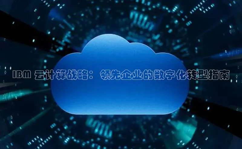 金年会app官方网巴美列捷福IBM 云计算战略：领先企业的数字化转型指南