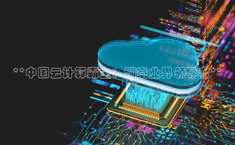 金年会电子游戏app百度大脑**中国云计算霸主：洞察业界领导者**