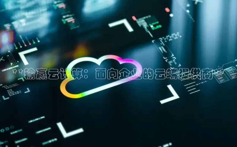 jinnianhui金年会百度Apollo**输赢云计算：面向企业的云端提供商**