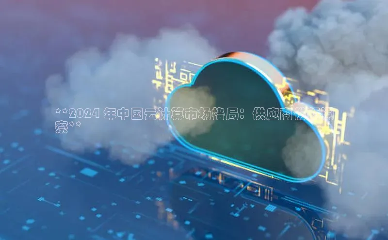 金年会·会官方入口登录宇信科技**2024 年中国云计算市场格局：供应商份额洞
察**