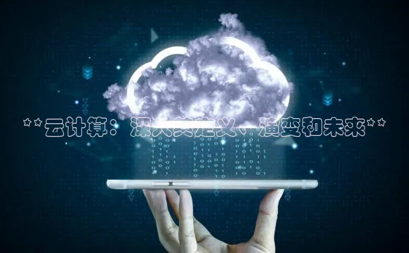 金年会电子游戏app官方每日互动**云计算：深入其定义、演变和未来**