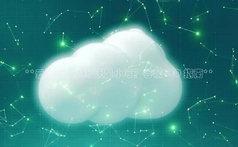 金年会-金字招牌神思电子**云计算：大写还是小写？谷歌 SEO 指南**