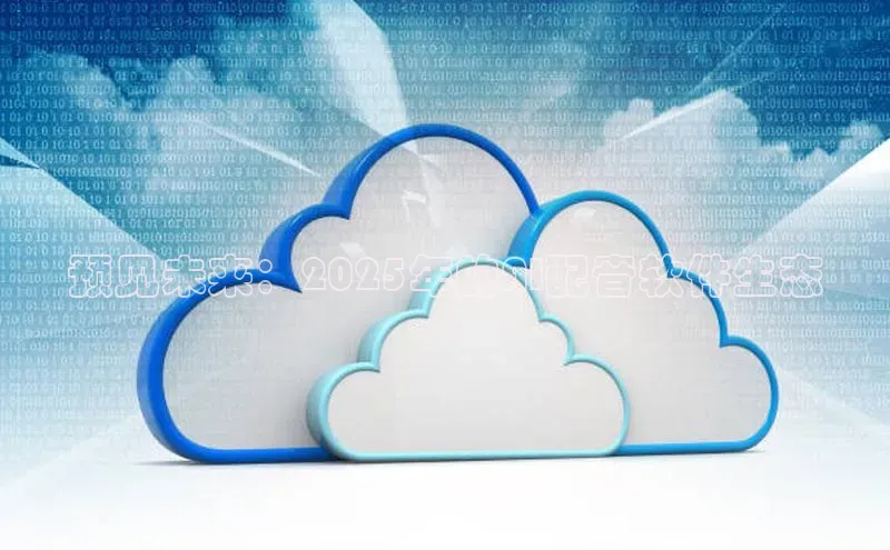 预见未来：2025年的AI配音软件生态